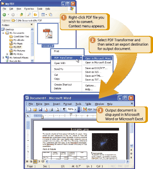 PDF Transformer Screenshot